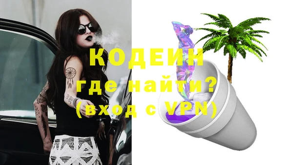 метадон Каменка