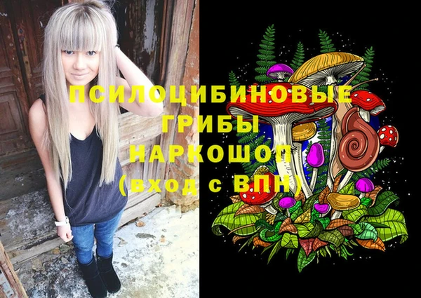 спиды Осташков