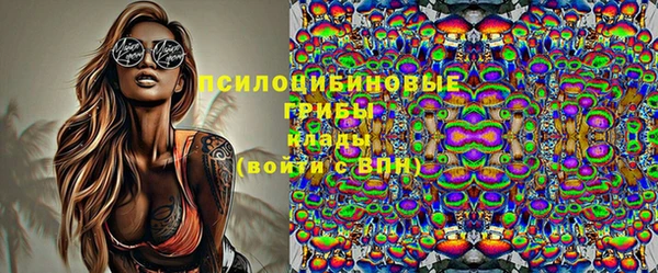 таблы Осинники